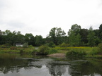 IMG 4499